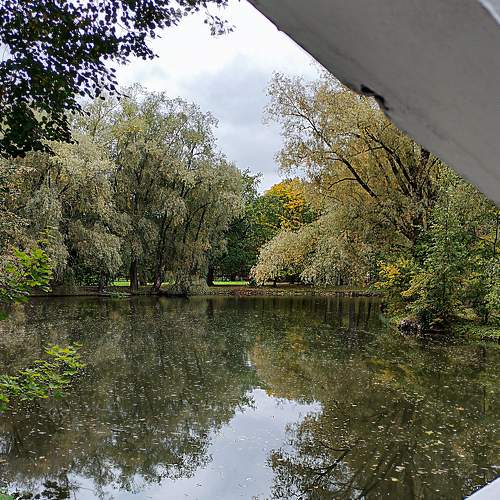 Photo #8891772