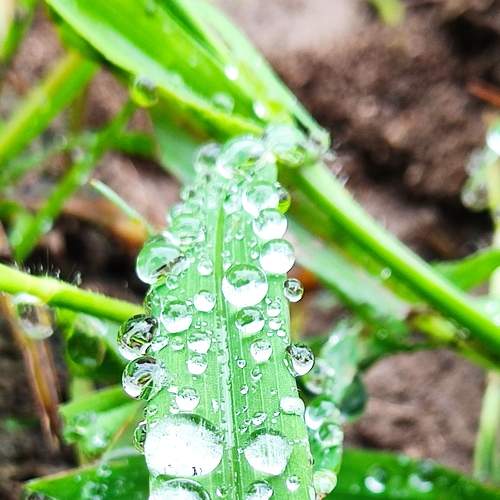Photo #8891840