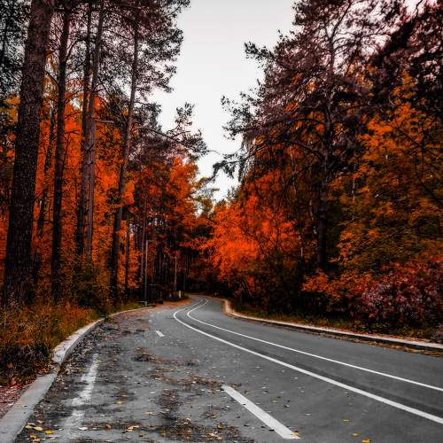 Огни осени (Autumn's fire)