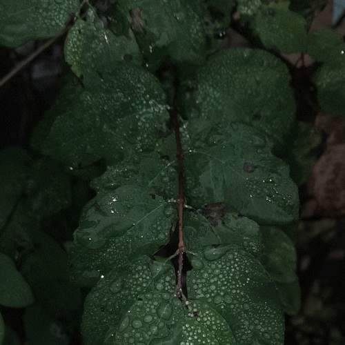 Photo #8892003