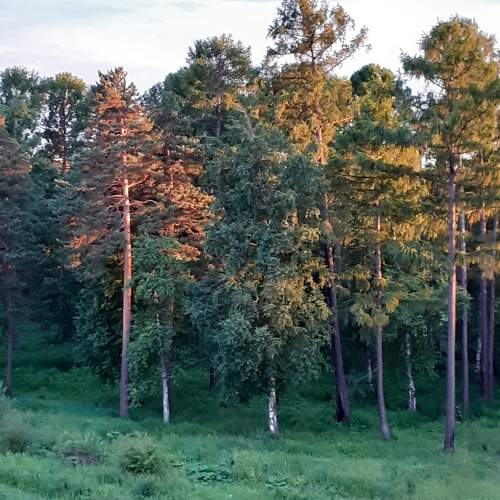 Photo #8892121