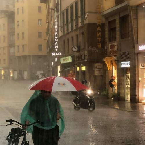 Photo #8892127
