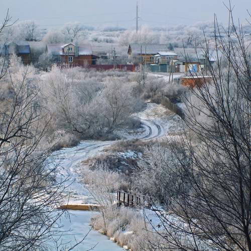 Photo #8892179