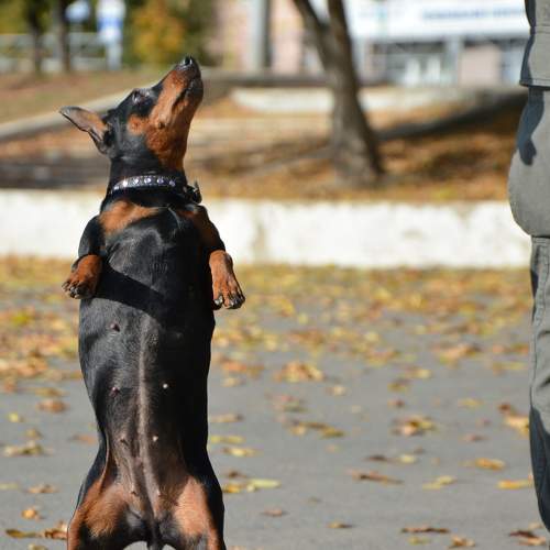 Photo #8892310
