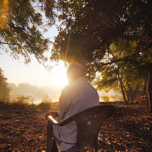 Photo #8892394