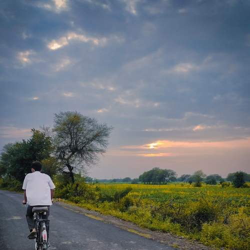 Photo #8892433