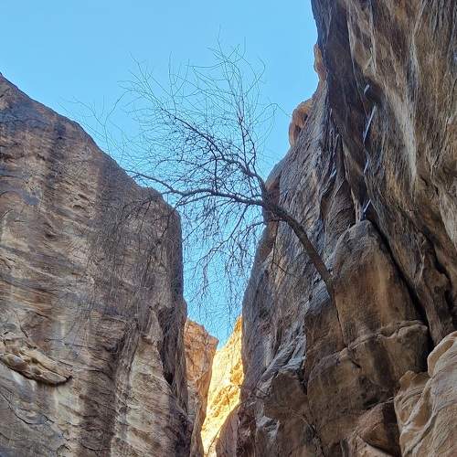 Photo #8892467