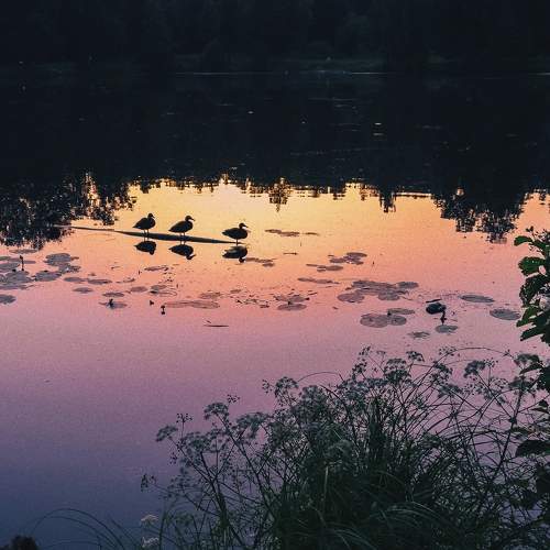 Photo #8892530