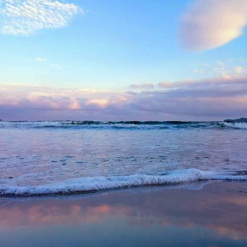 Photo #8892544