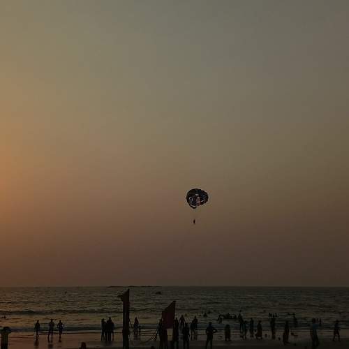 Photo #8892554