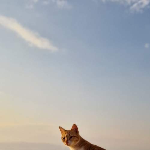 Photo #8892573