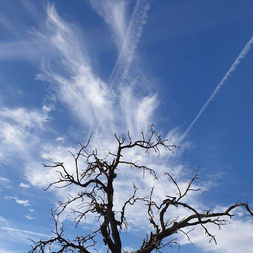 Photo #8892628