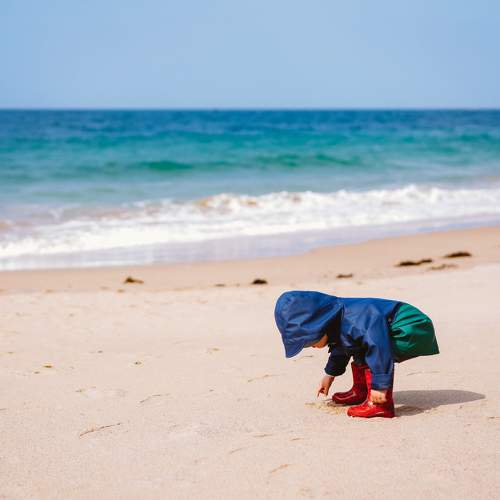 Photo #8892686