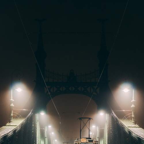 Liberty Bridge Budapest