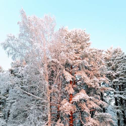 Photo #8892915
