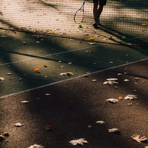 Photo #8893274