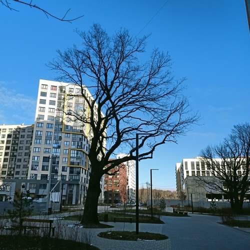 Photo #8893563