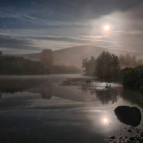 Photo #8893634