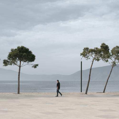 Photo #8893732