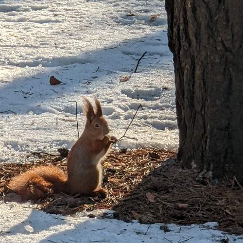 Photo #8893831