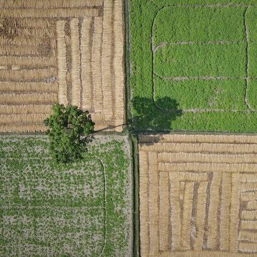 life within nature