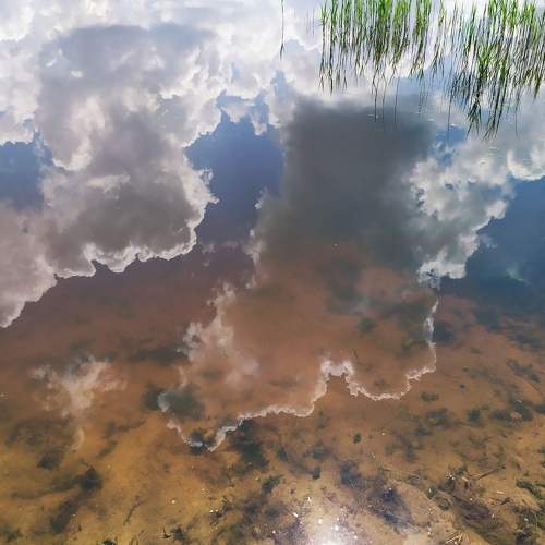 Photo #8894469
