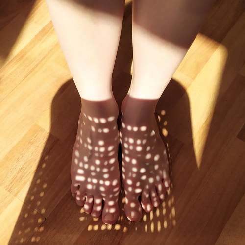 Photo #8894500
