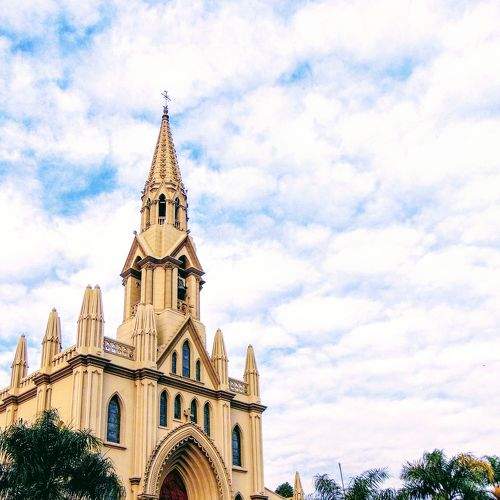 Photo #8894625