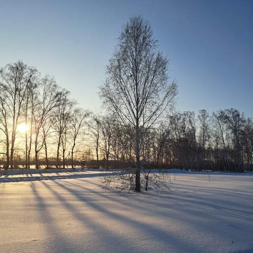 Photo #8894643