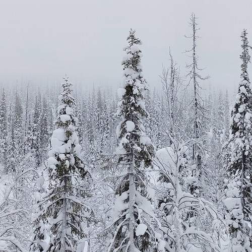 Photo #8894663