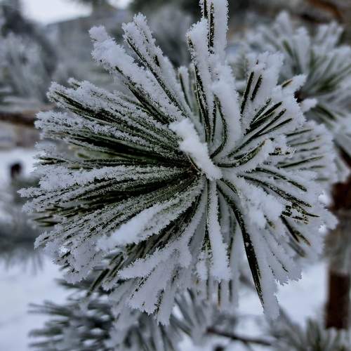 Photo #8894690
