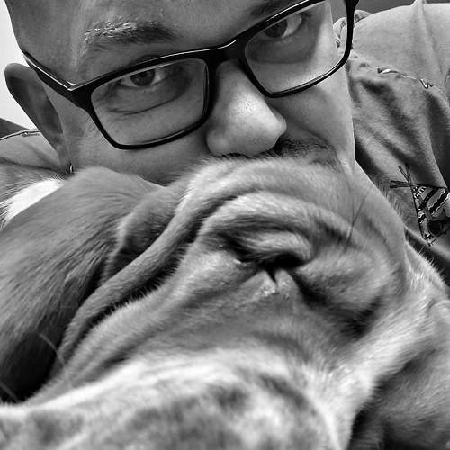 Photo #8894715