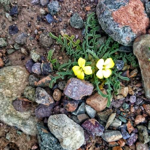 Photo #8894772