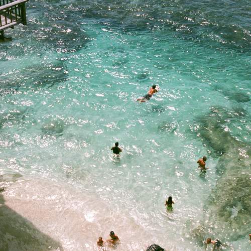 Photo #8894781