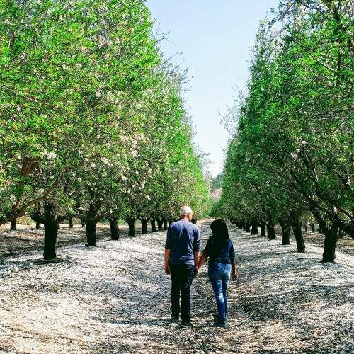 Photo #8894806