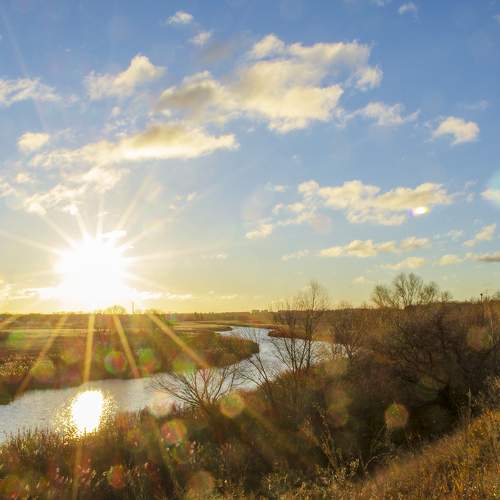 Photo #8894833