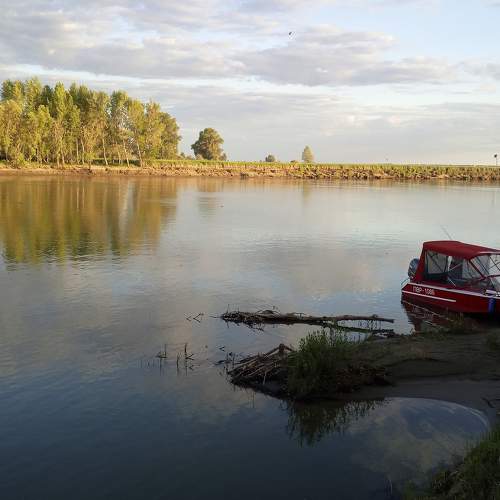 Photo #8894926