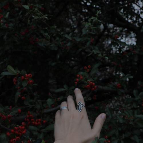 Photo #8894961