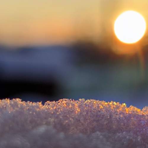 Photo #8895012