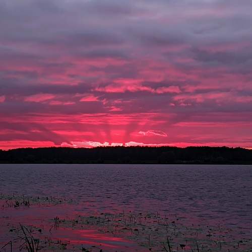 Photo #8895014