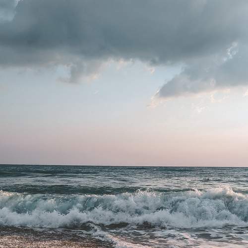 Photo #8895039
