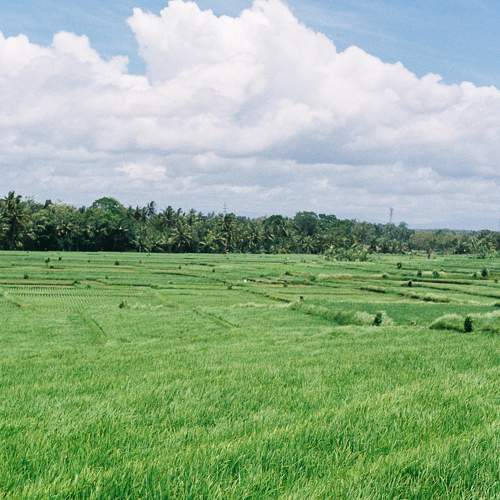 Photo #8895055
