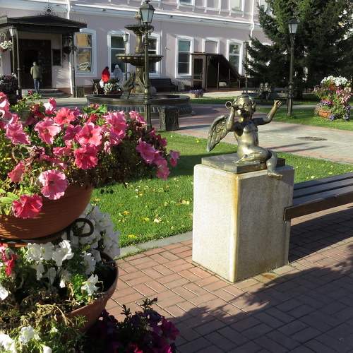 Photo #8895137