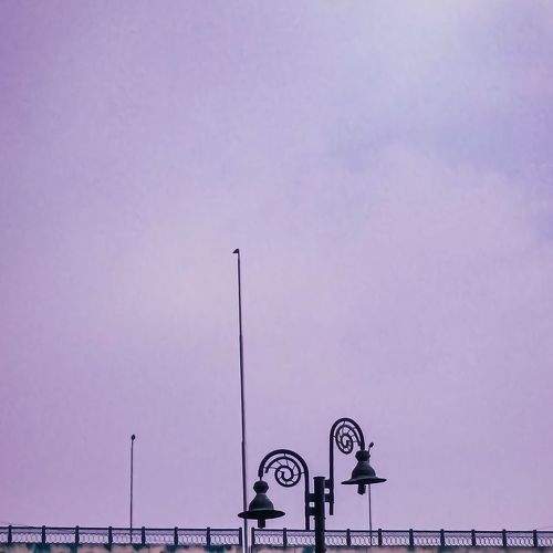 Photo #8895168