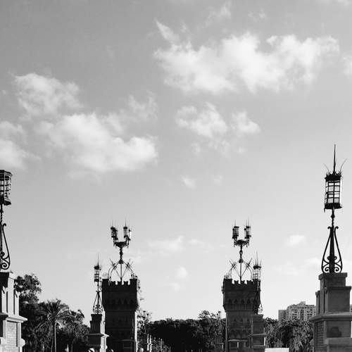 جزيرة الشاى
