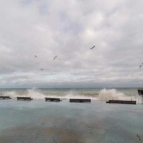 Photo #8895520