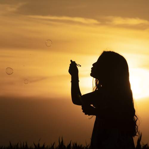 Photo #8895542