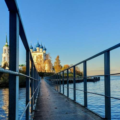 Photo #8895707