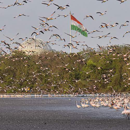 Photo #8895825