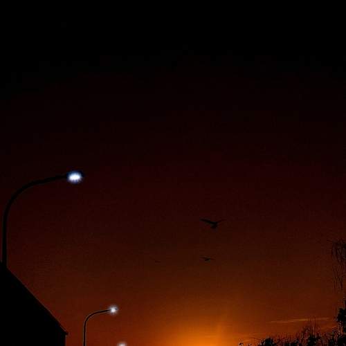 Photo #8895925